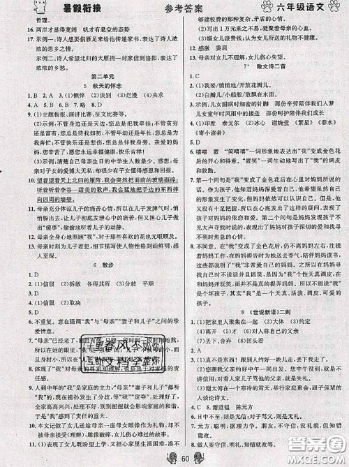 阳光出版社畅学图书2020年暑假衔接六升七语文答案