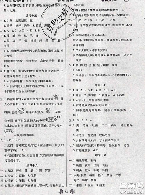 阳光出版社畅学图书2020年暑假衔接五升六语文答案