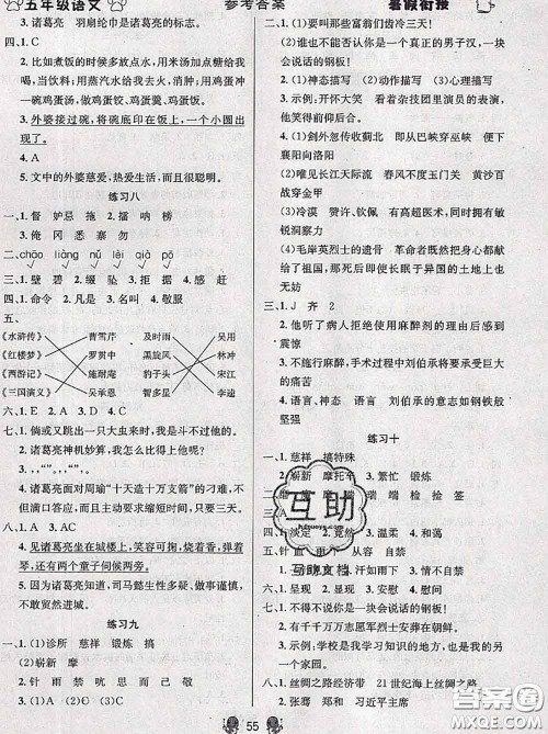 阳光出版社畅学图书2020年暑假衔接五升六语文答案