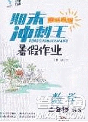 2020年期末冲刺王暑假作业数学二年级BS北师大版参考答案