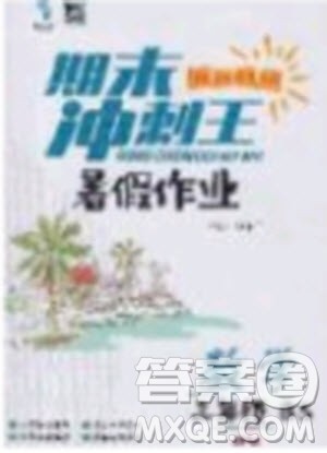 2020年期末冲刺王暑假作业数学三年级BS北师大版参考答案