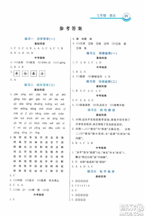 河北美术出版社2020暑假作业七年级语文答案