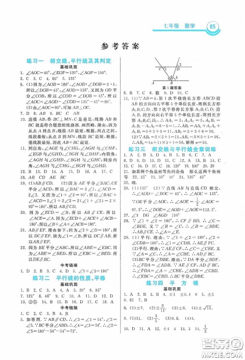 河北美术出版社2020暑假作业七年级数学答案