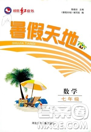 桂壮红皮书2020年暑假天地七年级数学参考答案