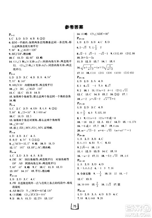 桂壮红皮书2020年暑假天地七年级数学参考答案