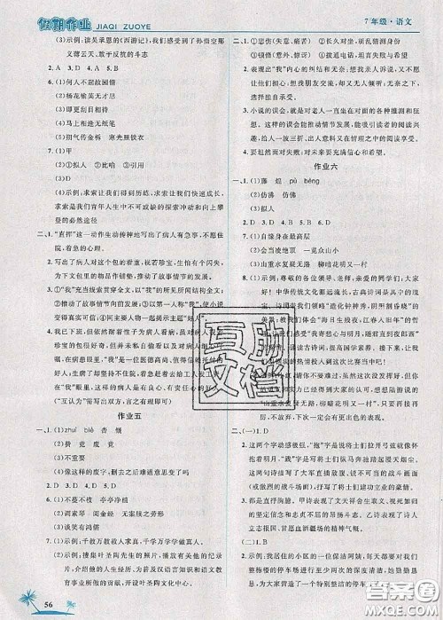 2020年荣恒教育假期作业暑假七年级语文人教版答案