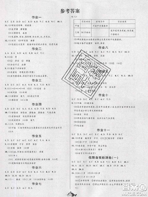 武汉大学出版社2020年绩优课堂快乐暑假七年级生物人教版答案 武汉大学出版社2020年绩优课堂快乐暑假七年级生物人教版答案