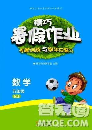 云南美术出版社2020年精巧暑假作业数学五年级RJ人教版参考答案