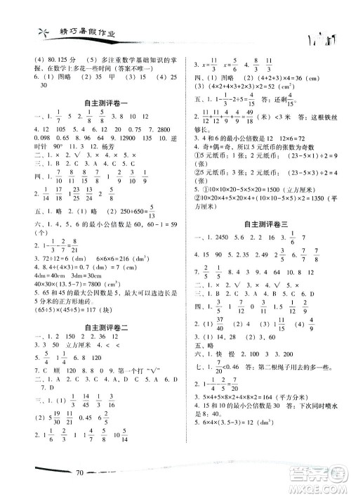 云南美术出版社2020年精巧暑假作业数学五年级RJ人教版参考答案