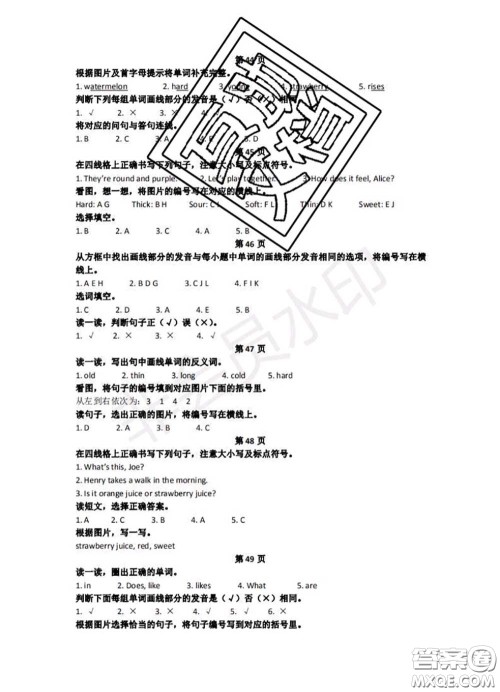 中西书局2020年鹏教图书精彩假期暑假篇四年级英语答案