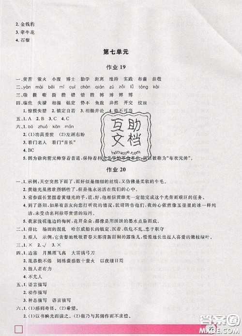 2020年钟书金牌暑假作业导与练四年级语文上海专版参考答案