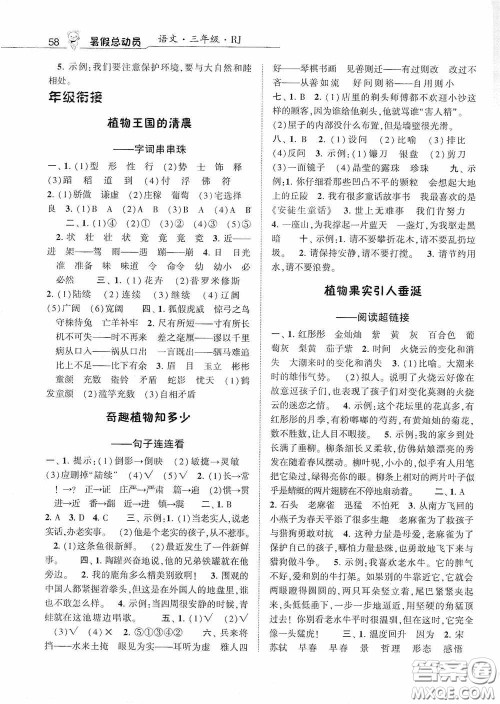 宁夏人民教育出版社2020经纶学典暑假总动员三年级语文人教版答案