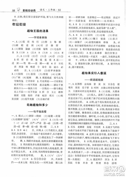 宁夏人民教育出版社2020经纶学典暑假总动员三年级语文人教版答案