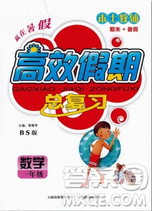 2020年本土教辅赢在暑假高效假期总复习一年级数学北师大版答案 2020年本土教辅赢在暑假高效假期总复习一年级数学北师大版答案