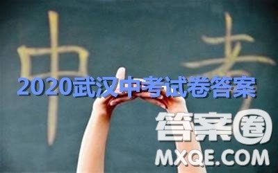 2020武汉市中考语文试卷及答案