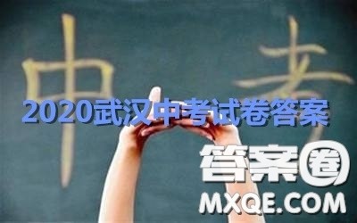 2020湖北省武汉市初中毕业生学业考试道德与法治试卷及答案