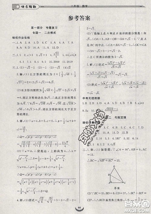 2020年快乐假期走进名校培优训练衔接教材暑假八升九数学答案