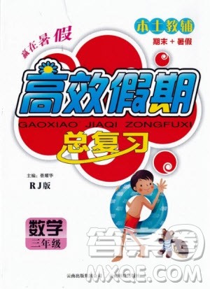 2020年本土教辅赢在暑假高效假期总复习三年级数学人教版答案 2020年本土教辅赢在暑假高效假期总复习三年级数学人教版答案