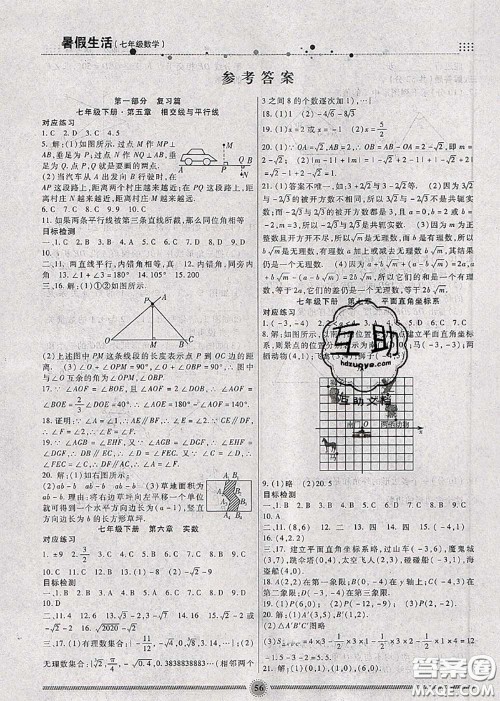 新疆文化出版社2020暑假生活七年级数学人教版参考答案