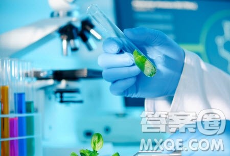 2020生物工程专业最好的院校是哪些 2020生物工程专业院校排名 2020生物工程专业最好的院校是哪些 2020生物工程专业院校排名