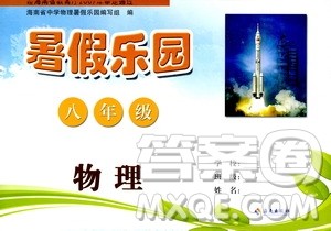 海南出版社2020年暑假乐园八年级物理参考答案