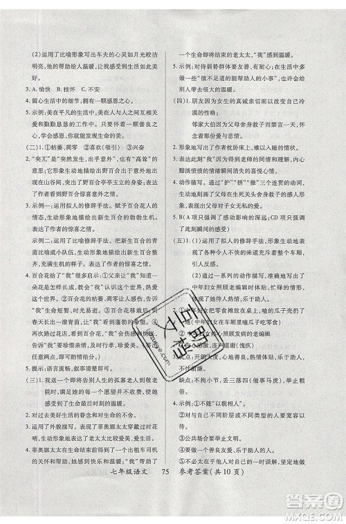 2020年本土教辅赢在暑假高效假期总复习七年级语文RJ人教版参考答案