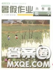 武汉出版社2020年开心假期暑假作业六年级数学人教版答案