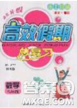 2020年本土教辅赢在暑假高效假期总复习八年级数学北师大版参考答案