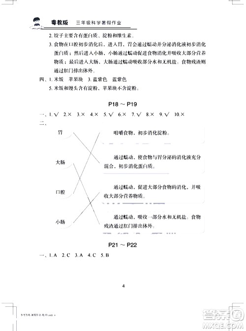 长江少年儿童出版社2020年科学暑假作业三年级粤教版参考答案