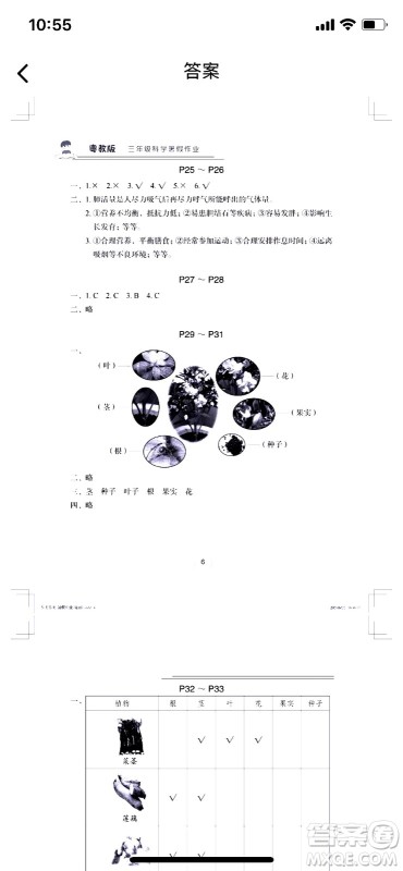 长江少年儿童出版社2020年科学暑假作业三年级粤教版参考答案