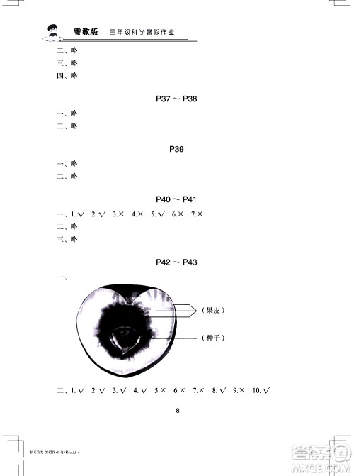 长江少年儿童出版社2020年科学暑假作业三年级粤教版参考答案