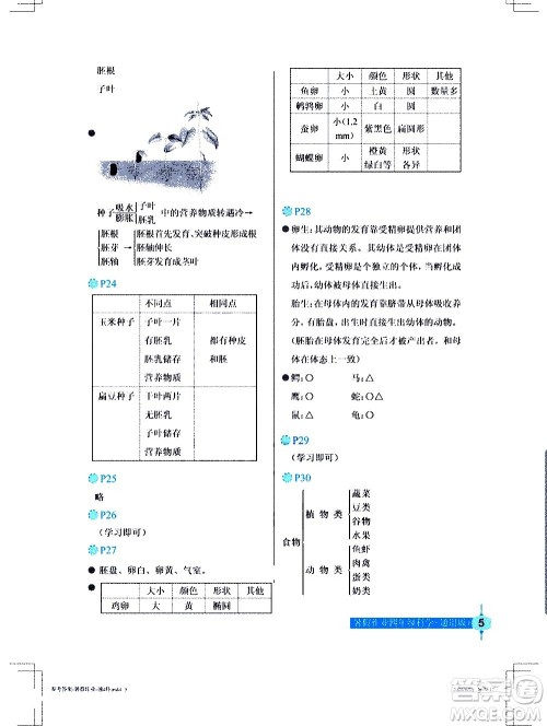 长江少年儿童出版社2020年科学暑假作业四年级通用版参考答案 长江少年儿童出版社2020年科学暑假作业四年级通用版参考答案