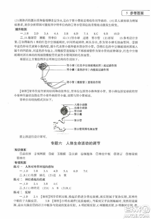 大象出版社2020暑假作业本生物学七年级下册人教版答案