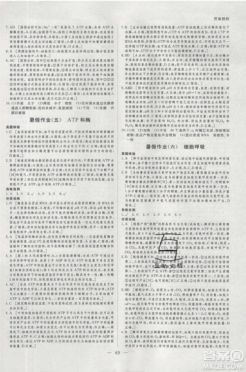 黑龙江教育出版社2020年步步高暑假作业高二生物江苏专用参考答案 黑龙江教育出版社2020年步步高暑假作业高二生物江苏专用参考答案