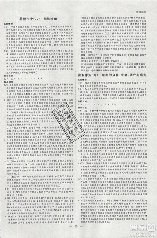 黑龙江教育出版社2020年步步高暑假作业高二生物江苏专用参考答案