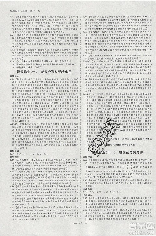 黑龙江教育出版社2020年步步高暑假作业高二生物江苏专用参考答案