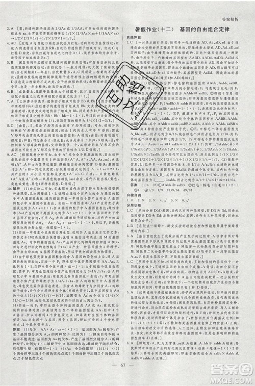 黑龙江教育出版社2020年步步高暑假作业高二生物江苏专用参考答案