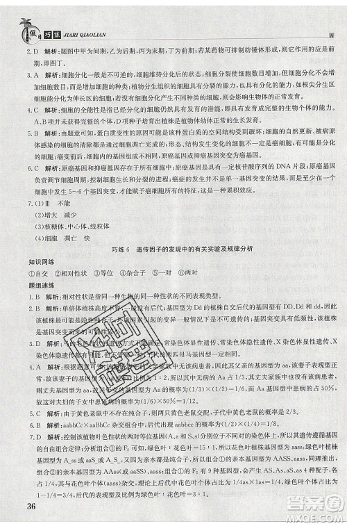 江西高校出版社2020年假日巧练暑假生物合订本参考答案