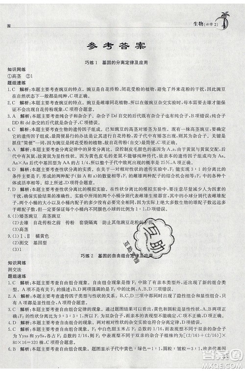 江西高校出版社2020年假日巧练暑假生物必修2人教版参考答案
