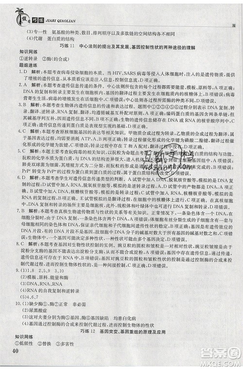 江西高校出版社2020年假日巧练暑假生物必修2人教版参考答案