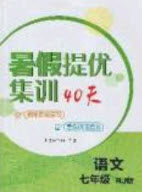 江苏人民出版社2020年暑假提优集训40天七年级语文RJ人教版参考答案