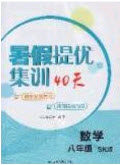 江苏人民出版社2020年暑假提优集训40天八年级数学SK苏科版参考答案