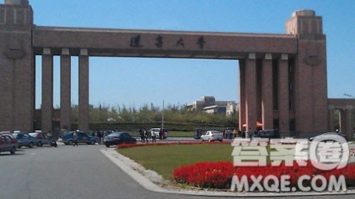 东北林业大学与辽宁大学哪个好 2020东北林业大学与辽宁大学选哪个好 东北林业大学与辽宁大学哪个好 2020东北林业大学与辽宁大学选哪个好