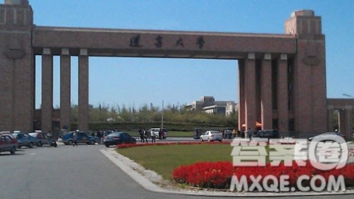 东北林业大学与辽宁大学哪个好 2020东北林业大学与辽宁大学选哪个好