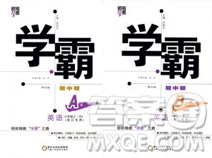 宁夏人民教育出版社2020秋经纶学典学霸题中题英语八年级上册RJ人教版浙江专用参考答案