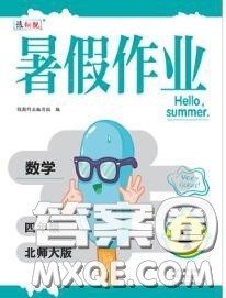 中原农民出版社2020年豫新锐暑假作业四年级数学北师版答案