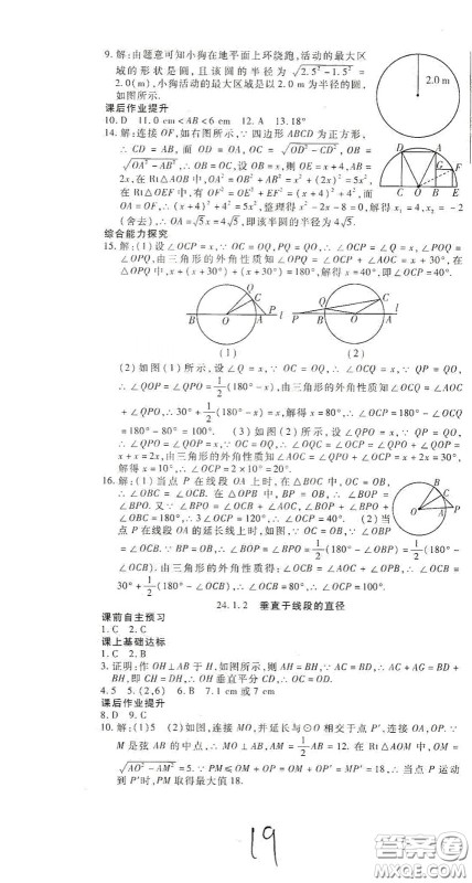 河北大学出版社2020聚能课堂九年级数学答案