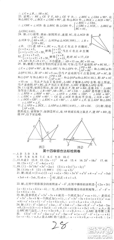 河北大学2020聚能课堂八年级数学答案