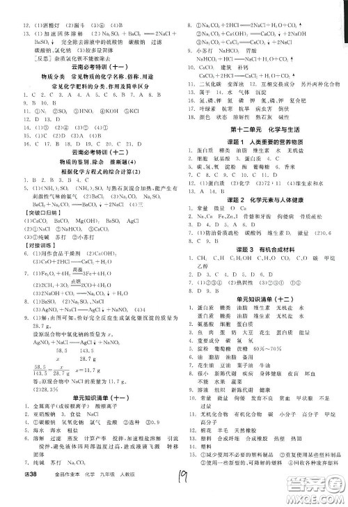 阳光出版社2020全品作业本九年级化学新课标人教版云南专用答案