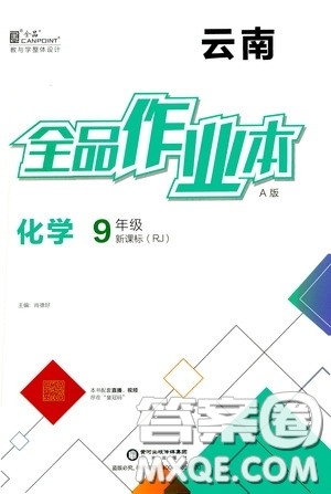 阳光出版社2020全品作业本九年级化学新课标人教版云南专用答案